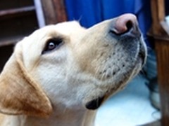 90后正是青春，有“黑卡”心更远大