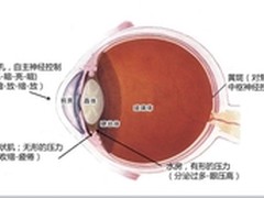 全国爱眼日 明基不闪屏为心灵之窗护航
