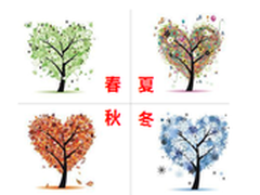 康泉“四季版”热水器品鉴