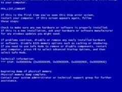 鱼和熊掌可以兼得 金士顿系统指定内存