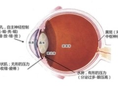 爱在父亲节 明基关爱老人眼睛健康