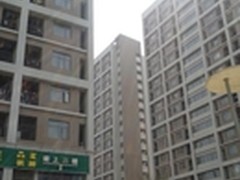 美森万兆环网网吧 星能（SINNEN）打造