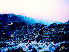 回收直面环境问题  体系服务生态链