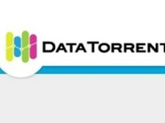 大数据企业DataTorrent获800万美元融资