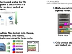EMC Avamar重复数据删除机制