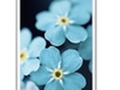 唯有颠覆才是纽曼  四核K2外观变动大