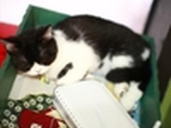 NETGEAR JNDR3000双频无线萌翻天