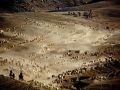 佳能“感动殿堂”摄影大赛六月佳作赏析