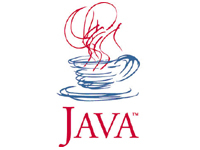 解析Java如何影响企业网络安全