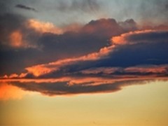 暗夜精灵，越夜越美丽