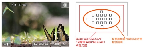 Camera冷知识 解析佳能革新CMOS AF技术