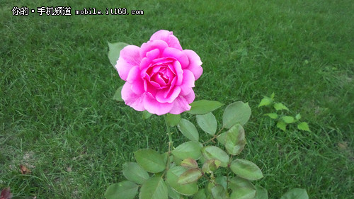 三星S4 Zoom 可以打电话的相机-1200万像素仅