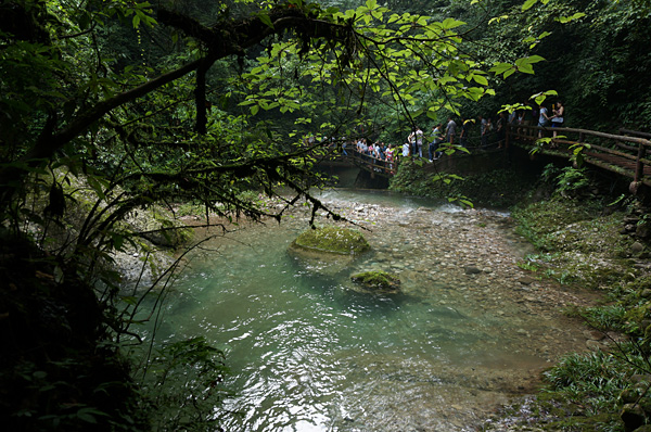 风景绝美的清晨后山