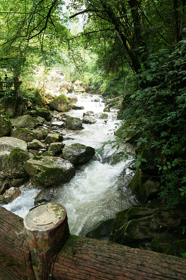 风景绝美的清晨后山