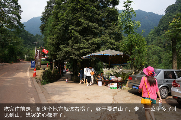 风景绝美的清晨后山