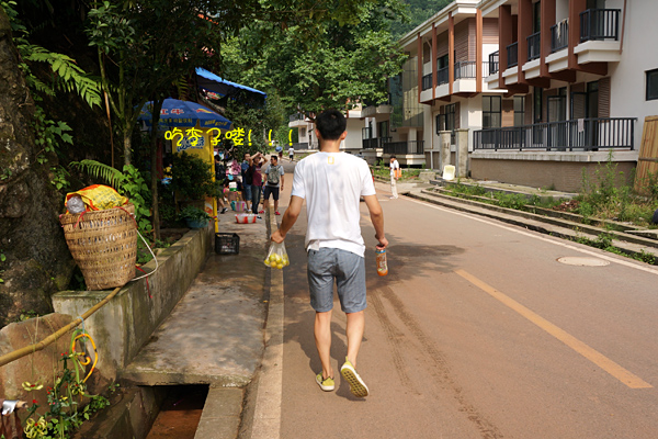 风景绝美的清晨后山