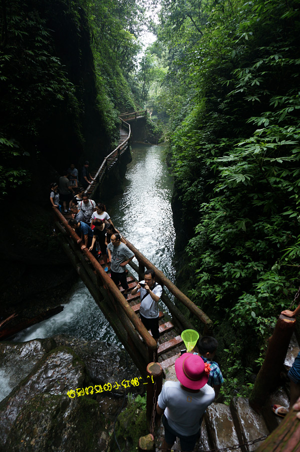 风景绝美的清晨后山