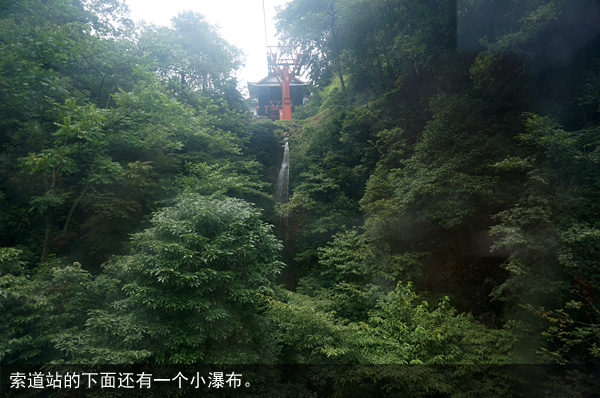 风景绝美的清晨后山