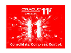 轻松拓展 Oracle 11g 标准版售58600元