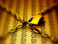 企业应选择和部署企业数据库加密策略