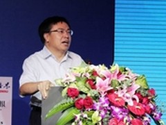 王润秋：企业信息化的战略思维的必要性