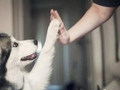 聚尚科技 社会事件背后的营销思考