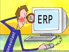 中小企业ERP顾问前景受挫 择业成焦点