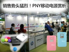 销售势头猛烈 PNY移动电源赏析