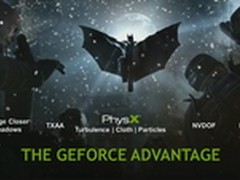 N卡独有特效 《蝙蝠侠:阿甘起源》细节