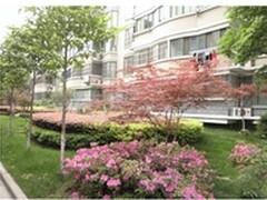 南京江景园 海尔家庭占比达五成