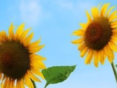 聚尚科技 改变是为了进步