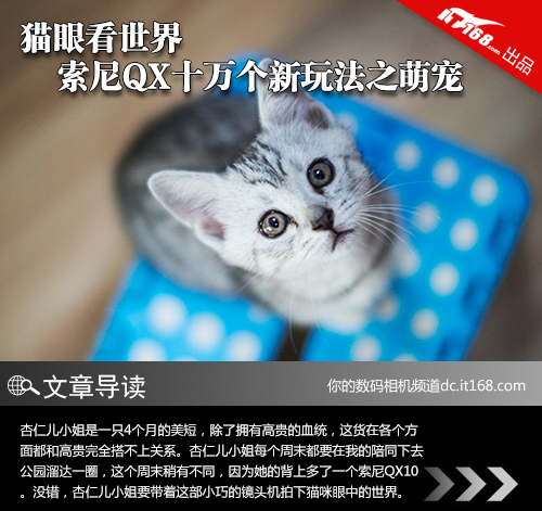 猫眼看世界 索尼QX十万个新玩法之萌宠