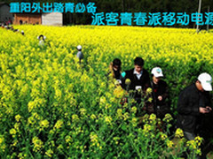 重阳外出踏青必备 派客青春派移动电源