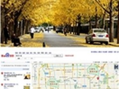 北京银杏五大黄金地百度地图赏叶正当时