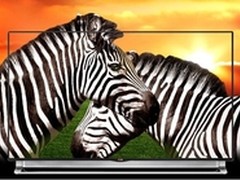 硬屏4K电视 专业色彩抢风头