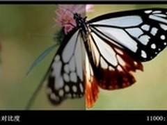 全3D  明基新5系商教投影机领衔市场