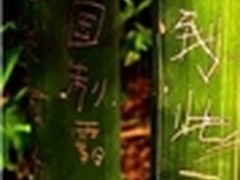 央视推荐：文明出游必备手机应用