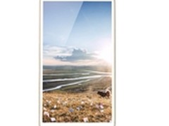 备战“双11” 土豪金卓普大黑惊艳亮相