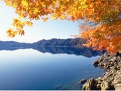 境内外枫叶相继变红赏枫游渐热