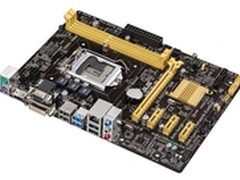普及Haswell 华硕H81M-PLUS主板仅499元