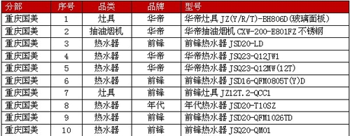 买新能效厨卫到国美 华帝炉灶成冠军