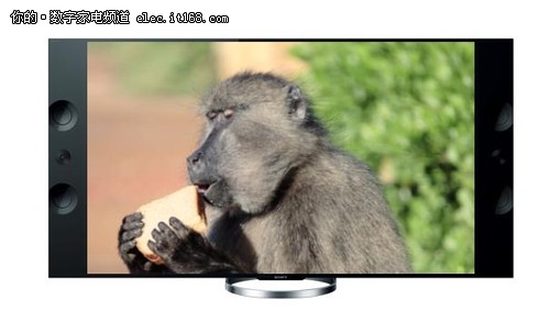 索尼4K电视优异画质 感受壮美南非风情