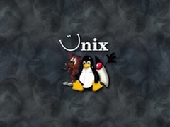 Unix在数据中心的份额与角色是什么？