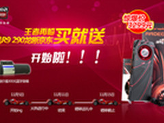 王者再临 镭风R9 290龙晰京东买就送