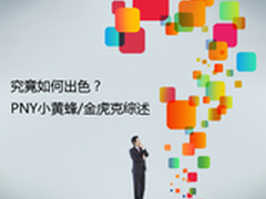 究竟如何出色 PNY小黄蜂/金虎克综述