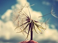 看致远协同OA如何帮助高校“移山填海”