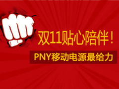 贴心陪伴双11 PNY移动电源最给力
