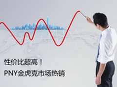 性价比超高 PNY金虎克市场热销