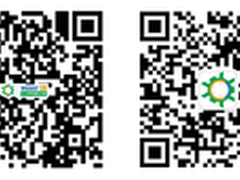 扬杰电子：一场移动办公引发的流程变革