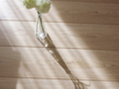 清秋素语卷流光记“S”里的光影日记